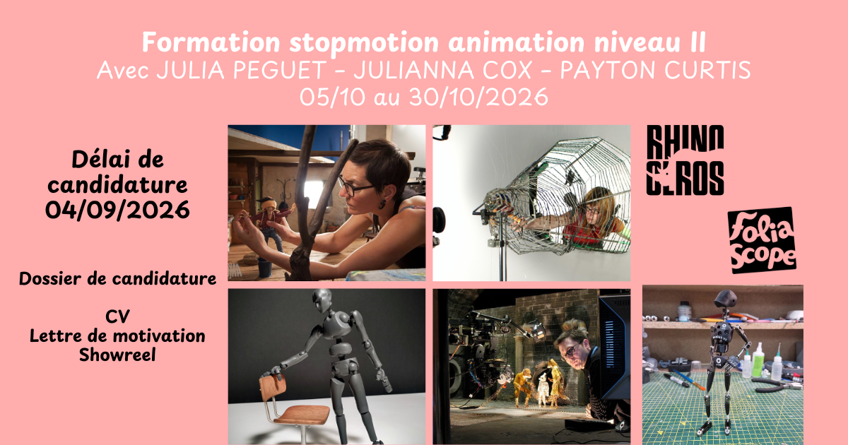 Rhinocéros - Perfectionnement en animation stop motion – Niveau II (Focus acting, expressivité et exigences plateau) 