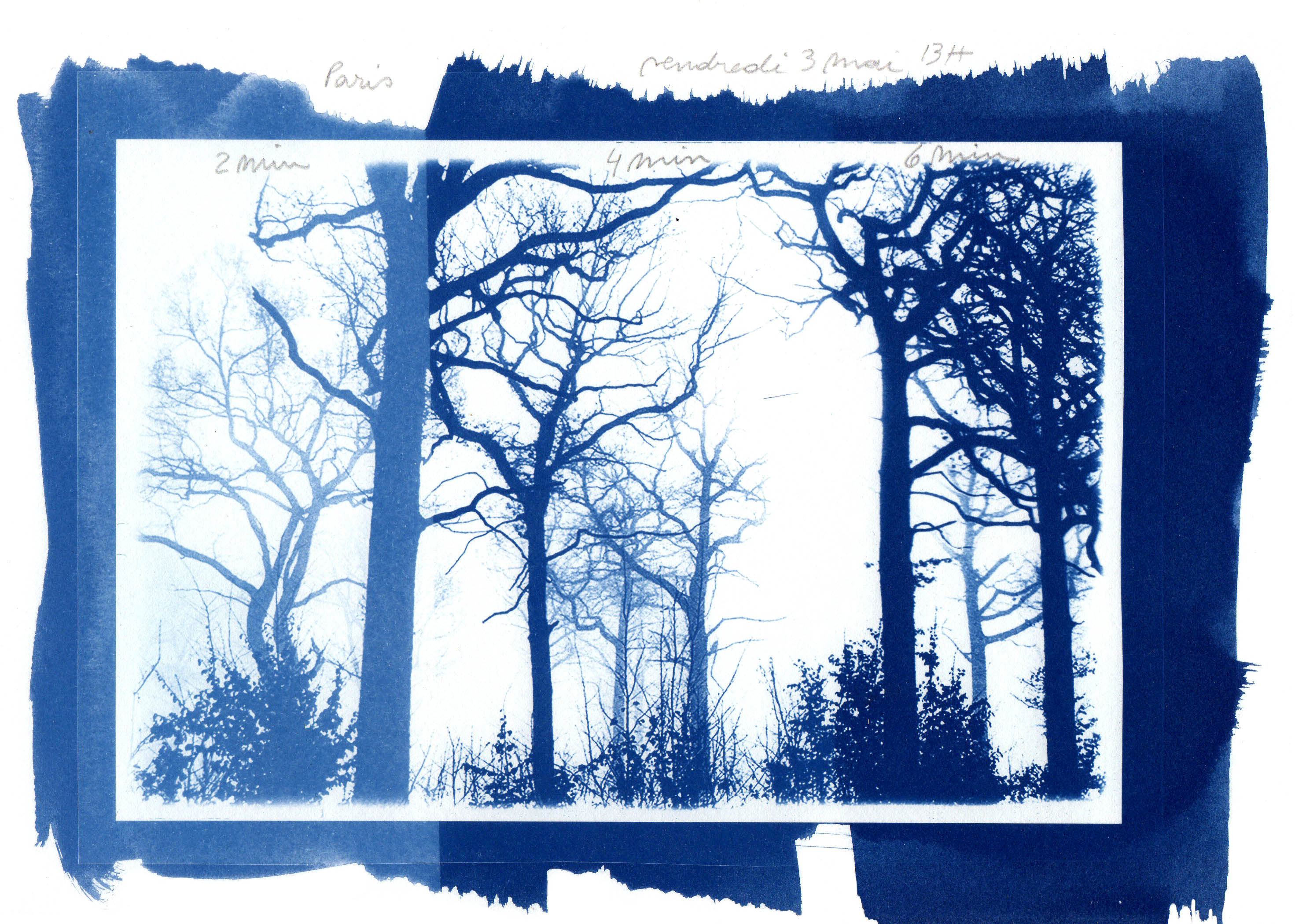 Maison du geste de l'image - Le cyanotype comme expérience pédagogique