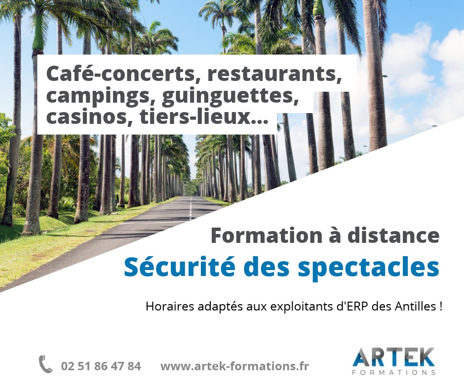 Artek - Une formation à la sécurité des spectacles spéciale Antilles en visioconférence en novembre 